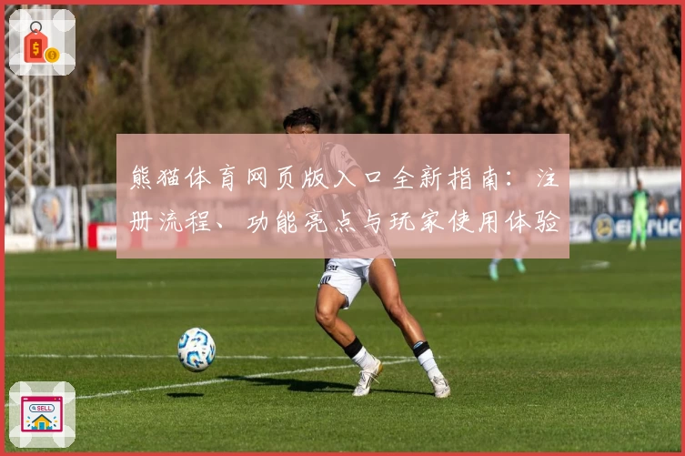 熊猫体育网页版入口全新指南：注册流程、功能亮点与玩家使用体验详解