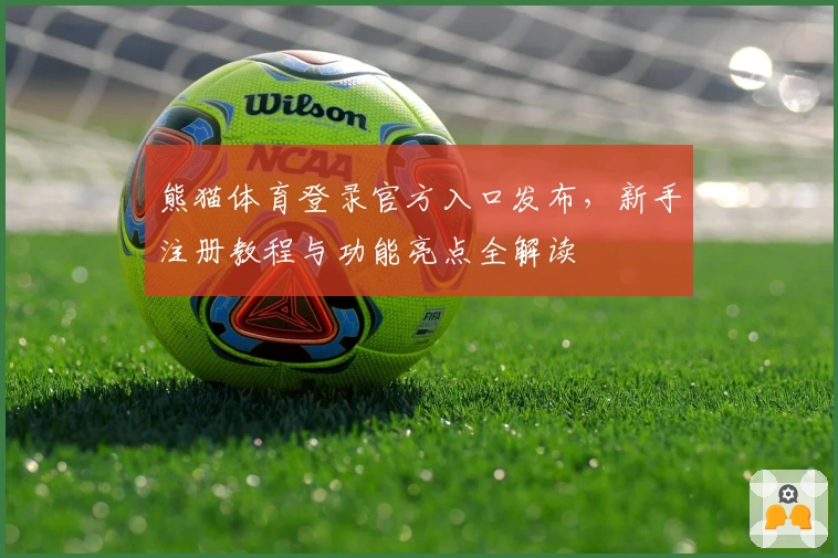 熊猫体育登录官方入口发布，新手注册教程与功能亮点全解读