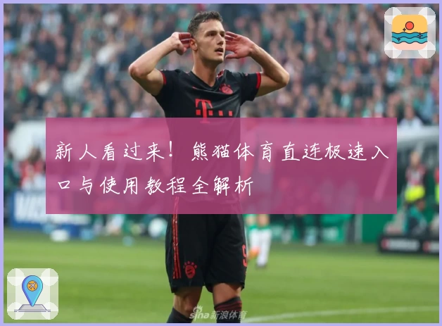 新人看过来！熊猫体育直连极速入口与使用教程全解析