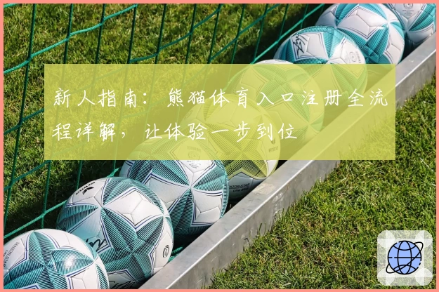 新人指南：熊猫体育入口注册全流程详解，让体验一步到位
