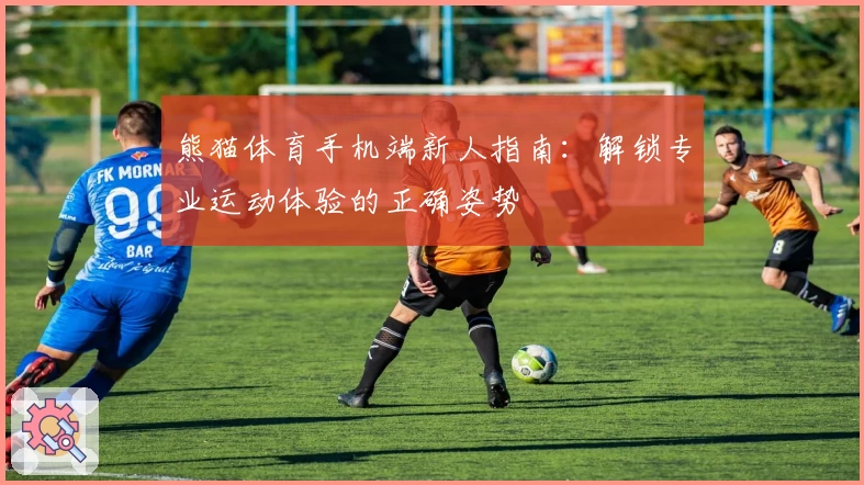 熊猫体育手机端新人指南:解锁专业运动体验的正确姿势