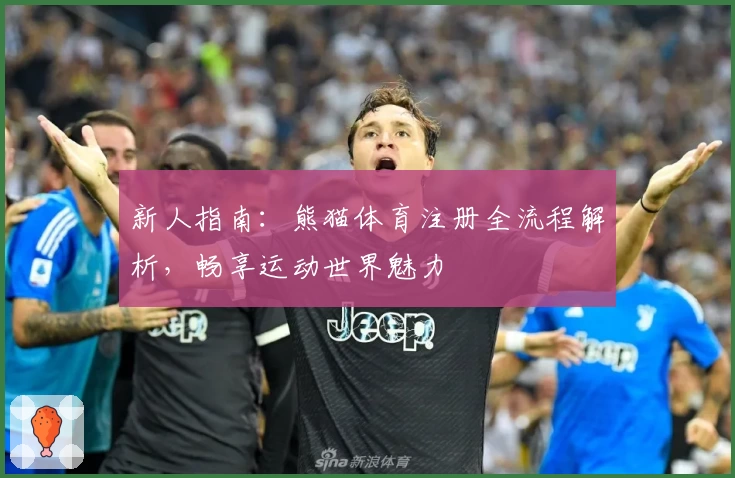 新人指南:熊猫体育注册全流程解析,畅享运动世界魅力