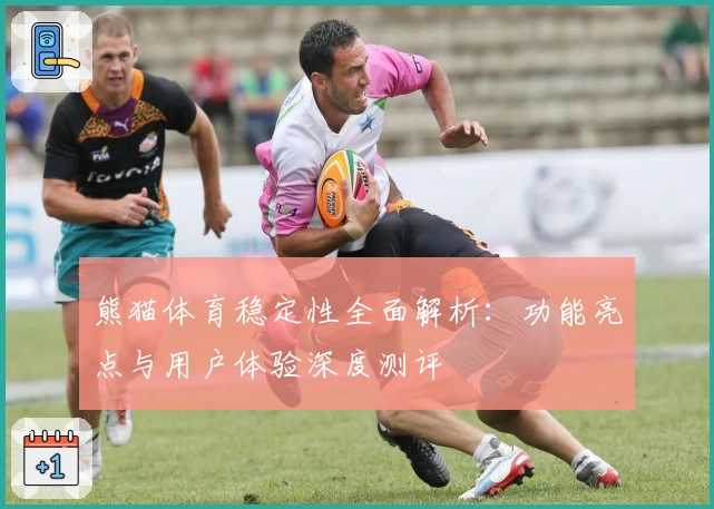 熊猫体育稳定性全面解析:功能亮点与用户体验深度测评