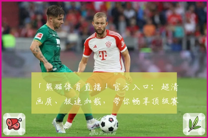 「熊猫体育直播」官方入口：超清画质、极速加载，带你畅享顶级赛事盛宴！