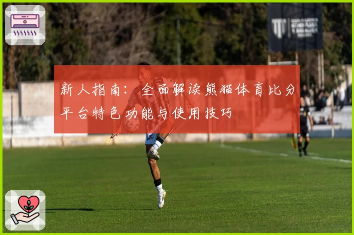 新人指南：全面解读熊猫体育比分平台特色功能与使用技巧
