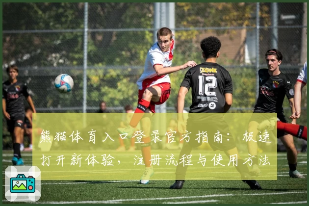 熊猫体育入口登录官方指南：极速打开新体验，注册流程与使用方法全解析