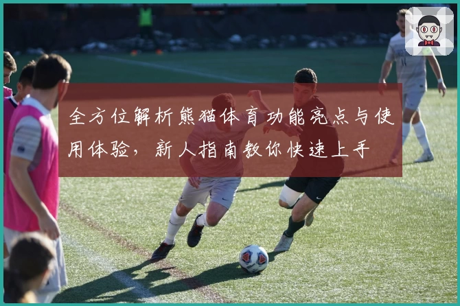 全方位解析熊猫体育功能亮点与使用体验，新人指南教你快速上手