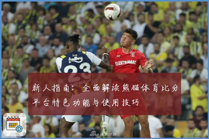 新人指南：全面解读熊猫体育比分平台特色功能与使用技巧