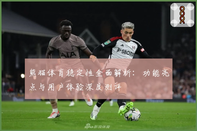 熊猫体育稳定性全面解析：功能亮点与用户体验深度测评