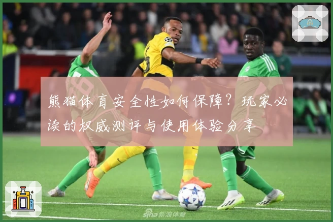 熊猫体育安全性如何保障?玩家必读的权威测评与使用体验分享