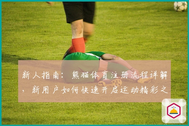 新人指南：熊猫体育注册流程详解，新用户如何快速开启运动精彩之旅